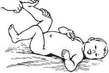 Иллюстрация к книге — Большой справочник по массажу [_174.jpg]