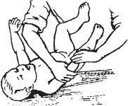 Иллюстрация к книге — Большой справочник по массажу [_175.jpg]