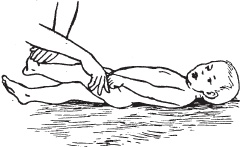 Иллюстрация к книге — Большой справочник по массажу [_176.jpg]