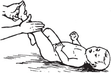 Иллюстрация к книге — Большой справочник по массажу [_178.jpg]