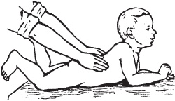 Иллюстрация к книге — Большой справочник по массажу [_181.jpg]