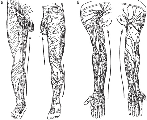Иллюстрация к книге — Большой справочник по массажу [_22.jpg]