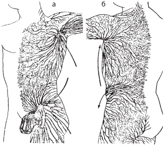 Иллюстрация к книге — Большой справочник по массажу [_24.jpg]