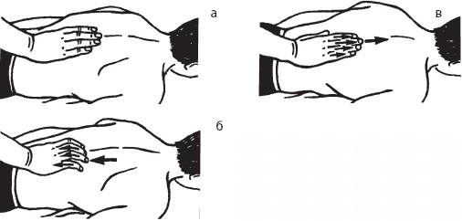 Иллюстрация к книге — Большой справочник по массажу [_33.jpg]