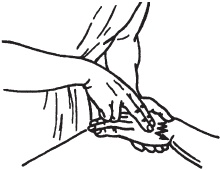 Иллюстрация к книге — Большой справочник по массажу [_37.jpg]