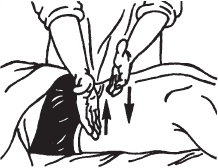 Иллюстрация к книге — Большой справочник по массажу [_39.jpg]