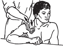 Иллюстрация к книге — Большой справочник по массажу [_40.jpg]