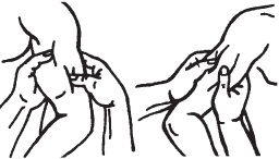 Иллюстрация к книге — Большой справочник по массажу [_41.jpg]