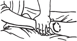 Иллюстрация к книге — Большой справочник по массажу [_43.jpg]