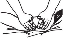 Иллюстрация к книге — Большой справочник по массажу [_45.jpg]