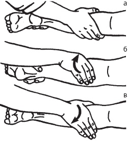 Иллюстрация к книге — Большой справочник по массажу [_46.jpg]
