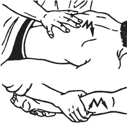 Иллюстрация к книге — Большой справочник по массажу [_51.jpg]