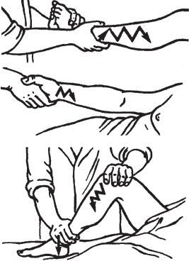 Иллюстрация к книге — Большой справочник по массажу [_55.jpg]