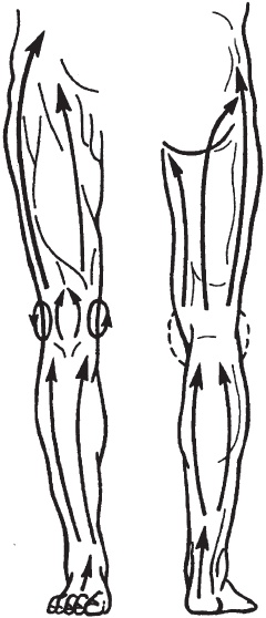 Иллюстрация к книге — Большой справочник по массажу [_60.jpg]