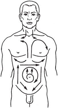 Иллюстрация к книге — Большой справочник по массажу [_62.jpg]