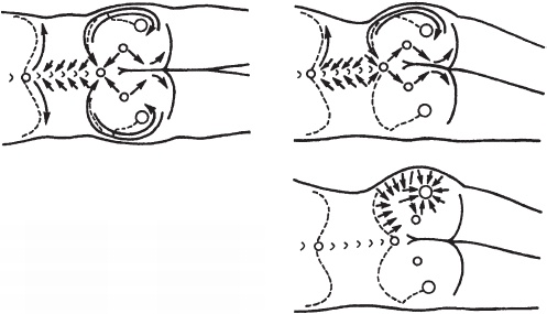 Иллюстрация к книге — Большой справочник по массажу [_64.jpg]