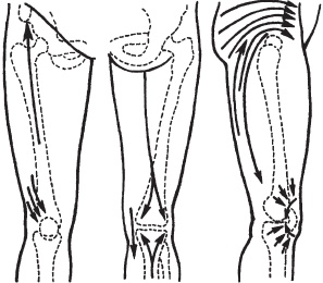 Иллюстрация к книге — Большой справочник по массажу [_69.jpg]