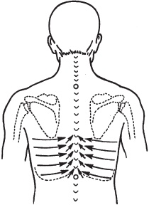 Иллюстрация к книге — Большой справочник по массажу [_70.jpg]