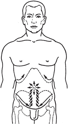 Иллюстрация к книге — Большой справочник по массажу [_71.jpg]