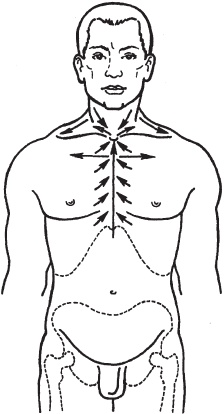 Иллюстрация к книге — Большой справочник по массажу [_72.jpg]