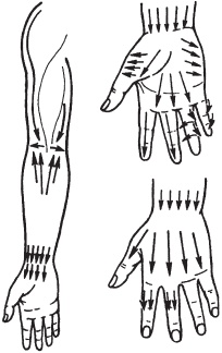 Иллюстрация к книге — Большой справочник по массажу [_73.jpg]