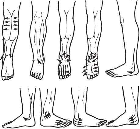 Иллюстрация к книге — Большой справочник по массажу [_74.jpg]