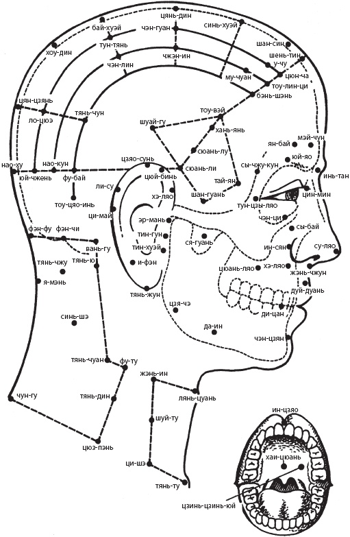 Иллюстрация к книге — Большой справочник по массажу [_76.jpg]