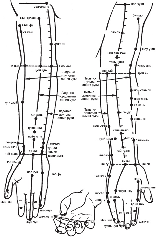 Иллюстрация к книге — Большой справочник по массажу [_79.jpg]