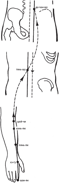 Иллюстрация к книге — Большой справочник по массажу [_82.jpg]
