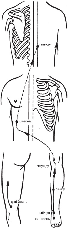 Иллюстрация к книге — Большой справочник по массажу [_88.jpg]
