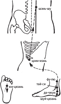Иллюстрация к книге — Большой справочник по массажу [_89.jpg]