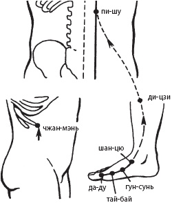 Иллюстрация к книге — Большой справочник по массажу [_90.jpg]