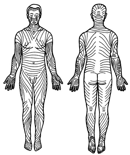 Иллюстрация к книге — Все про массаж [i_002.jpg]