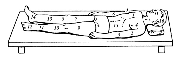 Иллюстрация к книге — Все про массаж [i_005.jpg]