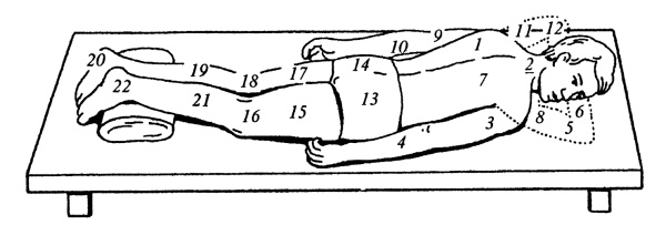 Иллюстрация к книге — Все про массаж [i_006.jpg]