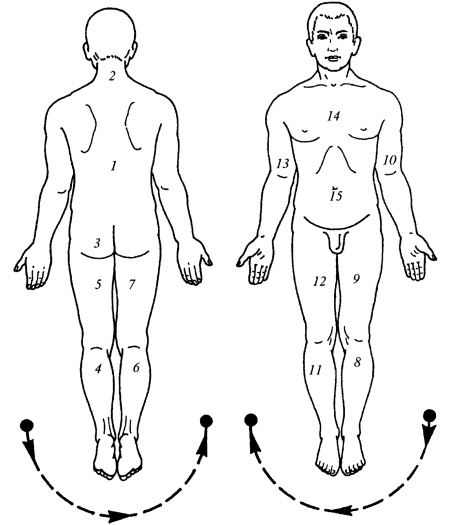 Иллюстрация к книге — Все про массаж [i_015.jpg]