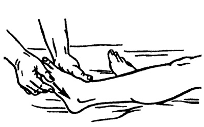 Иллюстрация к книге — Все про массаж [i_021.jpg]