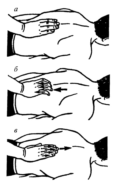 Иллюстрация к книге — Все про массаж [i_024.jpg]