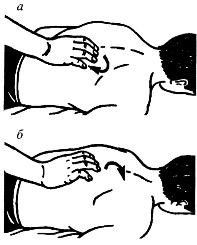 Иллюстрация к книге — Все про массаж [i_025.jpg]