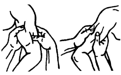 Иллюстрация к книге — Все про массаж [i_032.jpg]