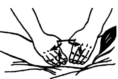 Иллюстрация к книге — Все про массаж [i_035.jpg]