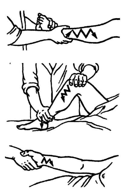 Иллюстрация к книге — Все про массаж [i_046.jpg]