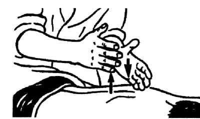 Иллюстрация к книге — Все про массаж [i_047.jpg]