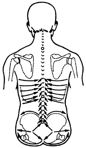 Иллюстрация к книге — Все про массаж [i_066.jpg]