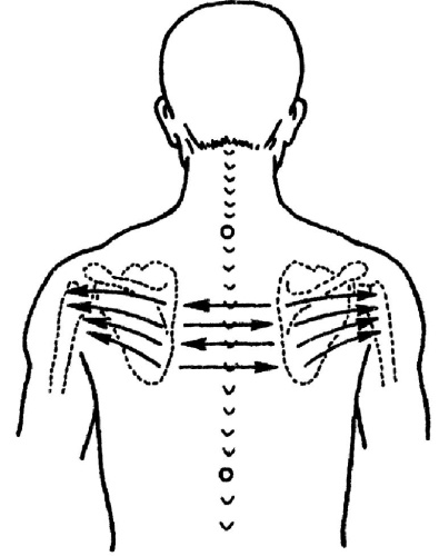 Иллюстрация к книге — Все про массаж [i_067.jpg]