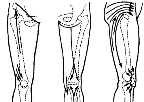 Иллюстрация к книге — Все про массаж [i_070.jpg]