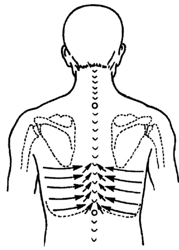 Иллюстрация к книге — Все про массаж [i_071.jpg]
