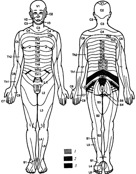 Иллюстрация к книге — Все про массаж [i_076.jpg]