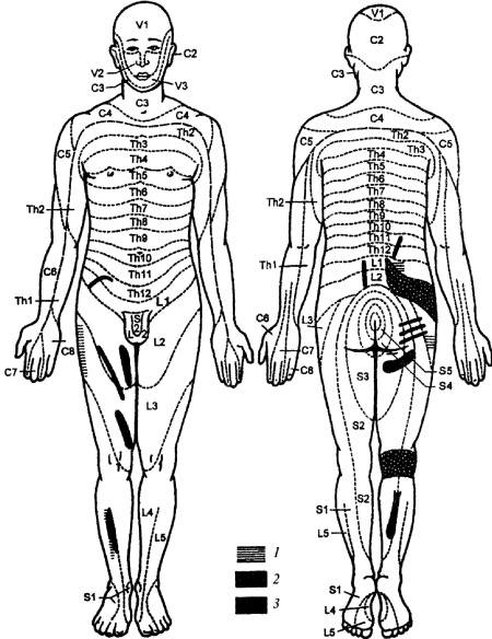 Иллюстрация к книге — Все про массаж [i_077.jpg]