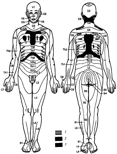 Иллюстрация к книге — Все про массаж [i_078.jpg]